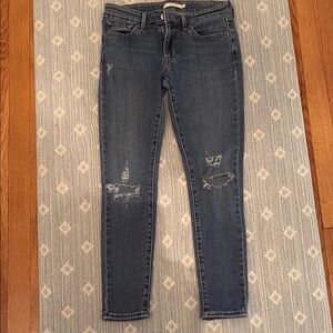 Levi's Classic Blue Skinny Jeans